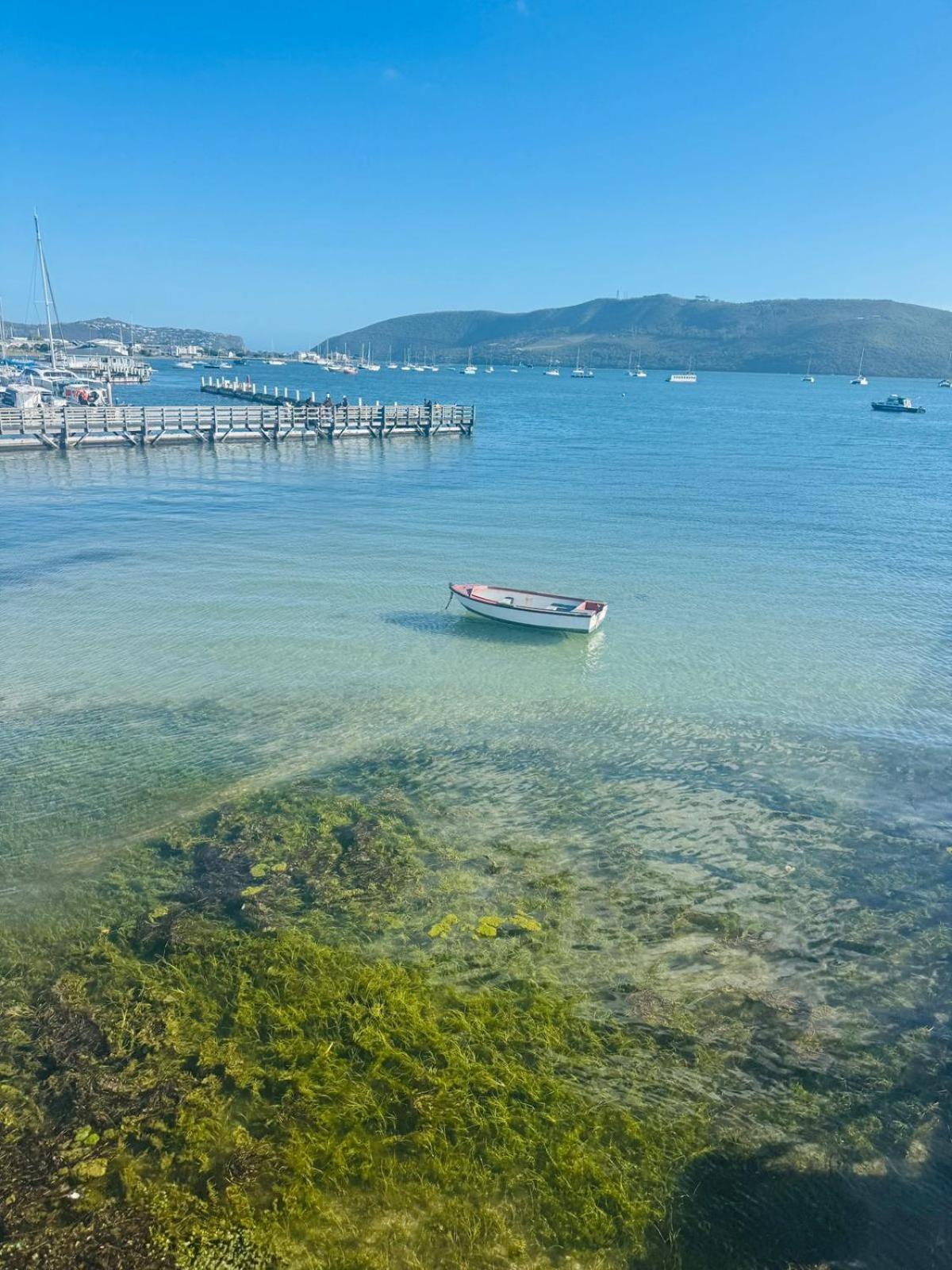 Laguna Grove 14 Knysna Rom bilde